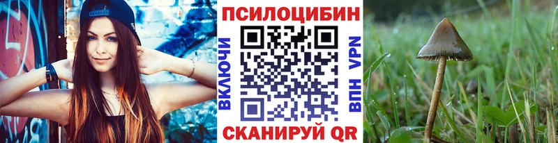 Галлюциногенные грибы Psilocybe  закладки  Боровичи 