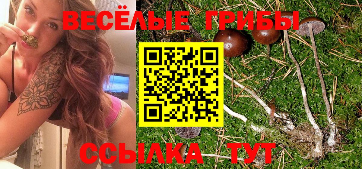 Псилоцибиновые грибы Magic Shrooms  Псилоцибиновые грибы Psilocybe  Боровичи 