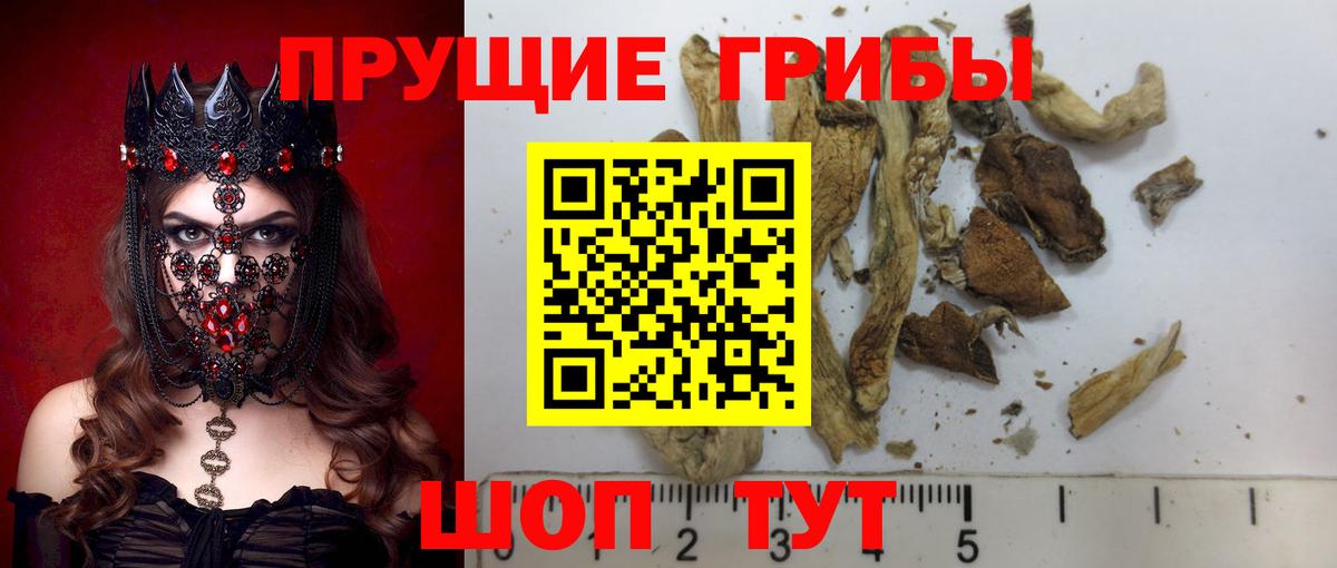 Кодеин  Боровичи  Конопля  Мефедрон   ГАШ  Меф МЯУ МЯУ  